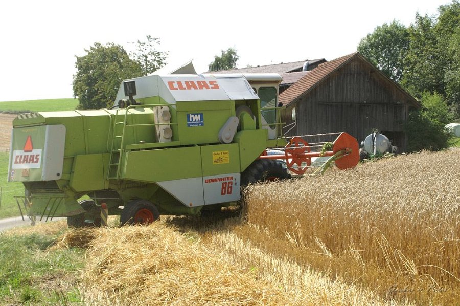 Claas Drescher 61